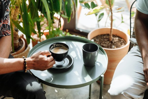 What are the Best Plants to Include in a DIY Skincare Garden in the UK?